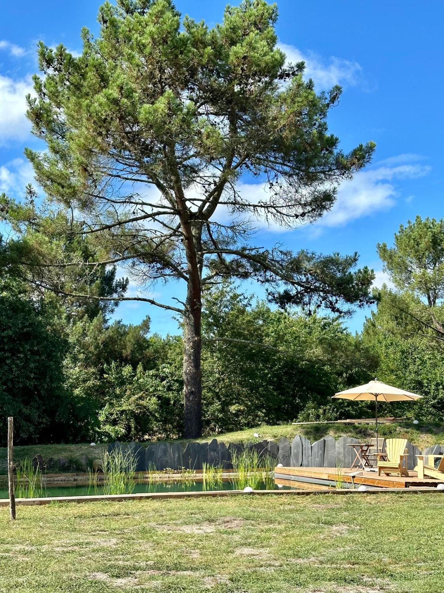 Maison Magnolia Onesse-et-Laharie 外观 照片